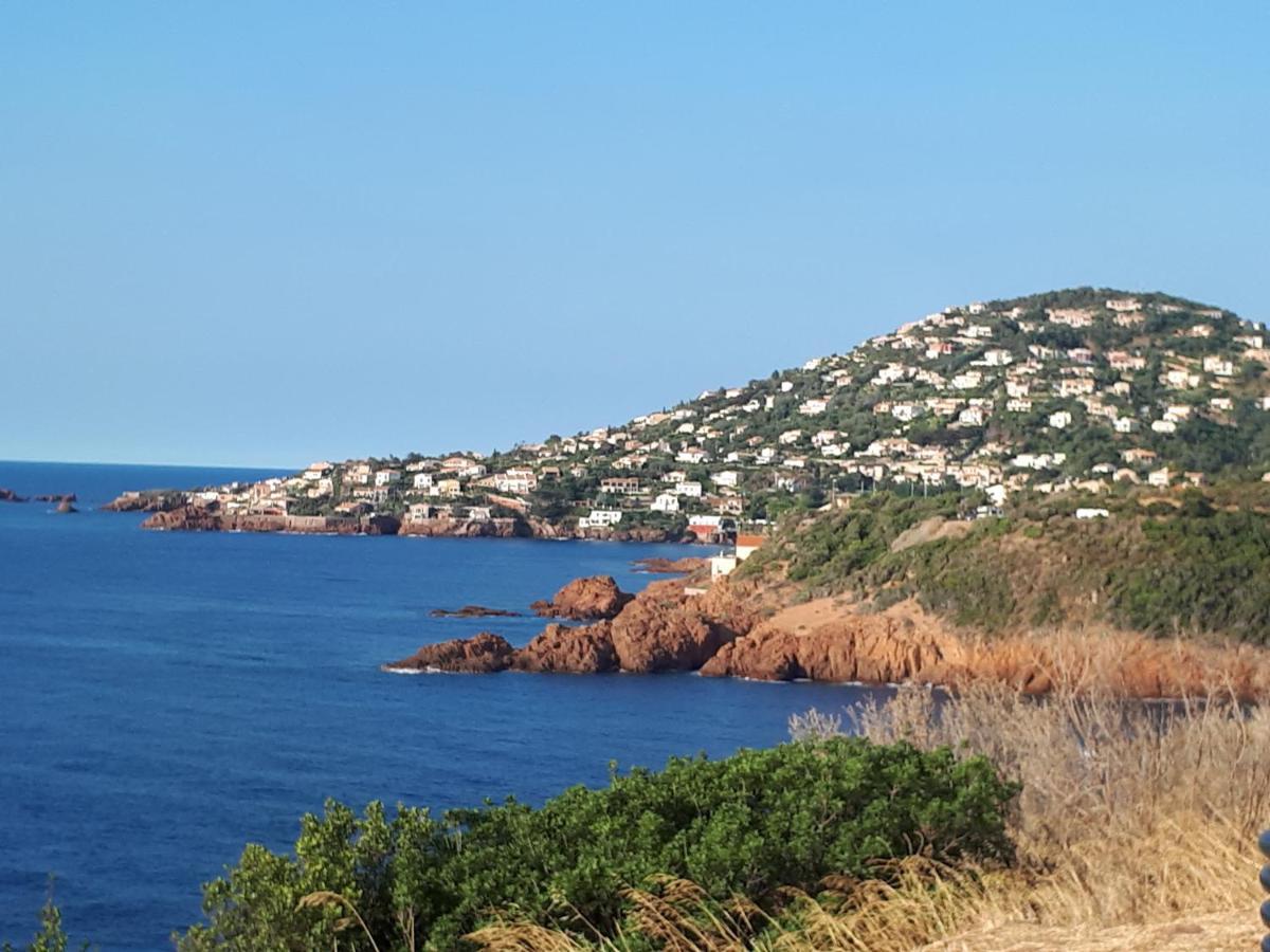 Fréjus plage T2, piscine, parking, plages à 200m Extérieur photo